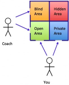 johariwindow-245x300